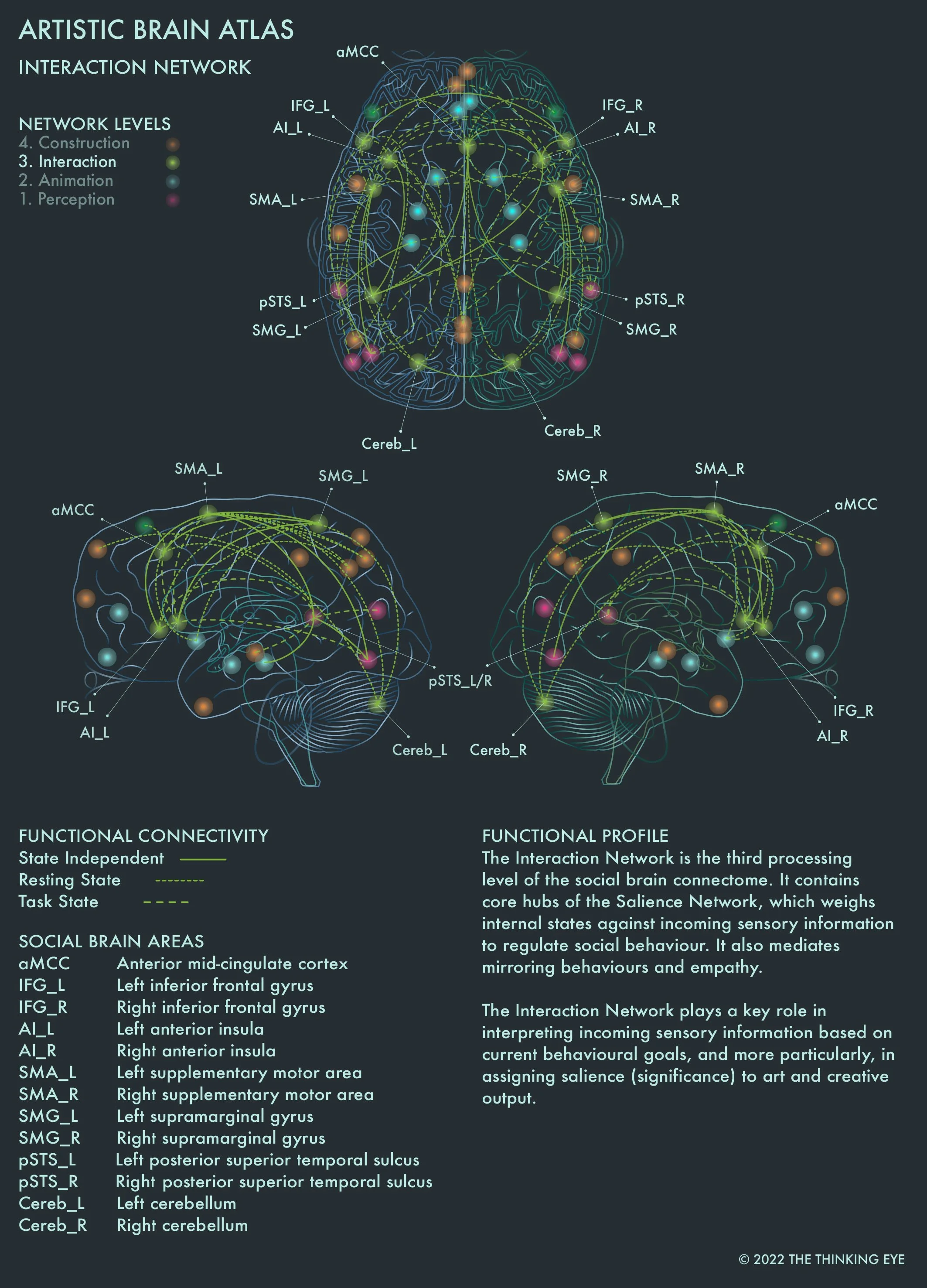 Artistic Brain Atlas — The Thinking Eye